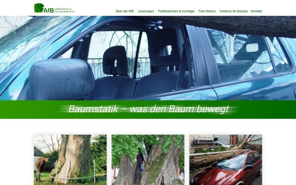 www.baumstatik.de
