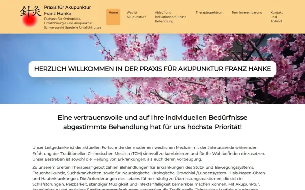 akupunktur-franz-hanke.de