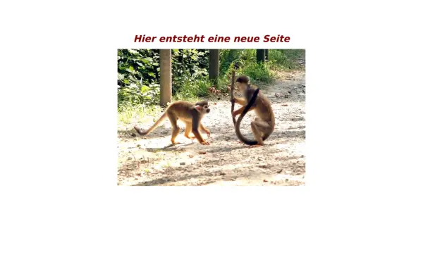 baeringer.de