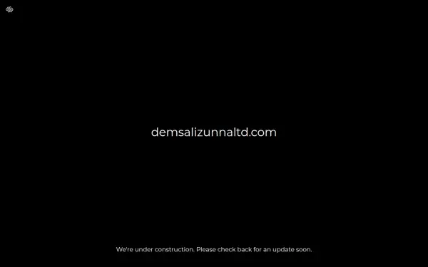 demsalizunnaltd.com