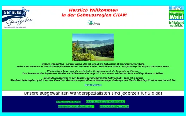 goldsteig-gehnuss.de