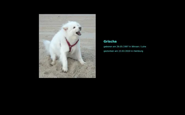 grischa-online.de