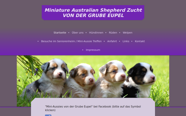 www.grube-eupel-mini-aussies.de