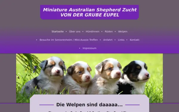 www.grube-eupel-mini-aussies.de