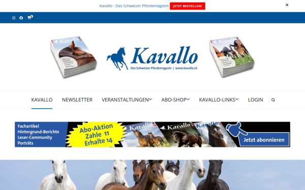 kavallo.ch