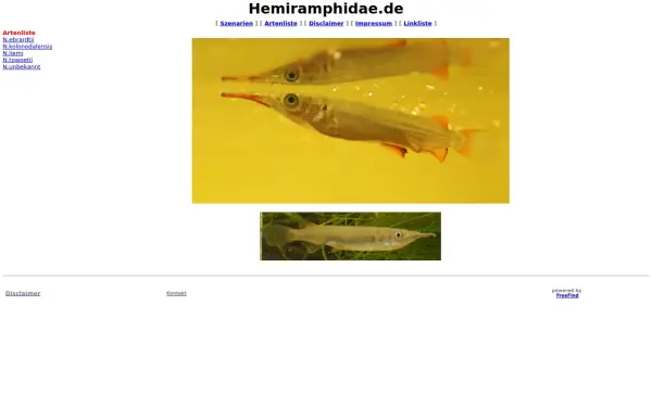 hemirhamphidae.de