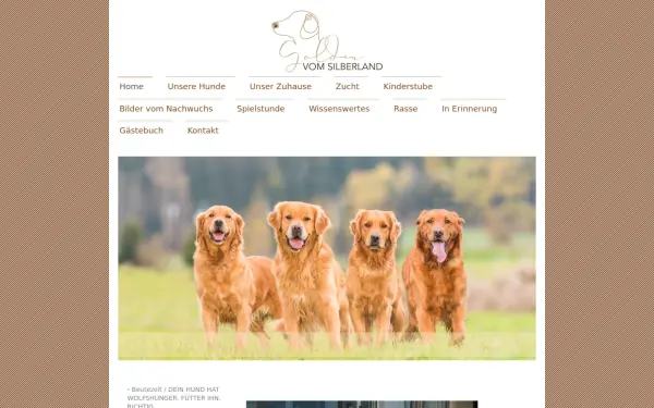 www.goldenvomsilberland.de