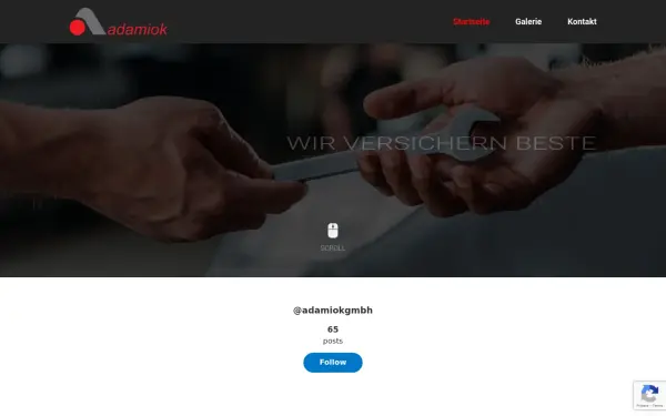 adamiok-gmbh.de