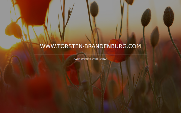 www.torsten-brandenburg.com