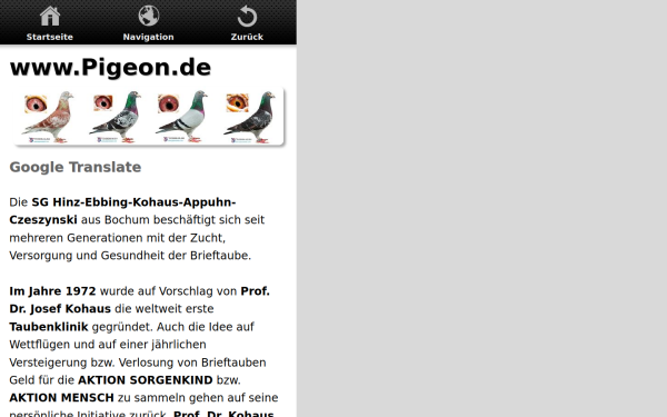 www.pigeon.de