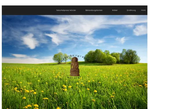 heilpraktiker-wuerzler.de