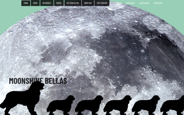 www.moonshinebellas.at