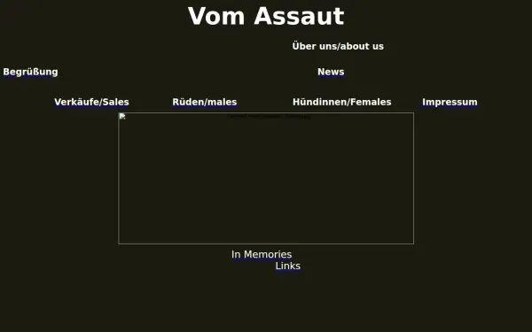assaut.de