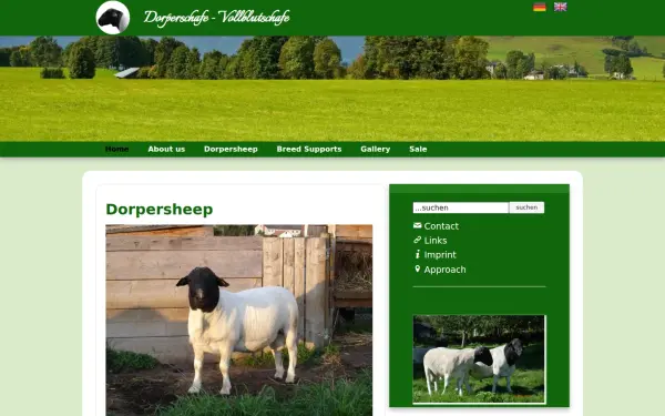 dorper-vollblutschafe.de