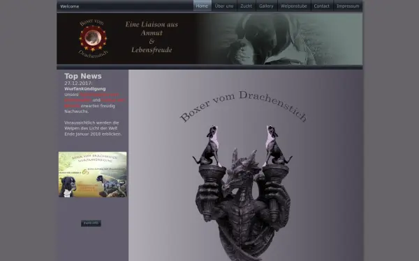 drachenstichboxer.de