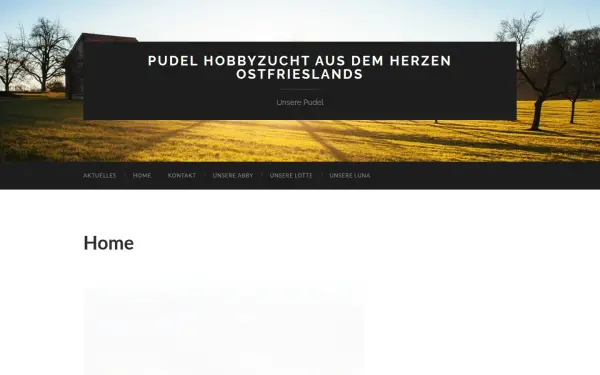 apricotpudelzucht.de