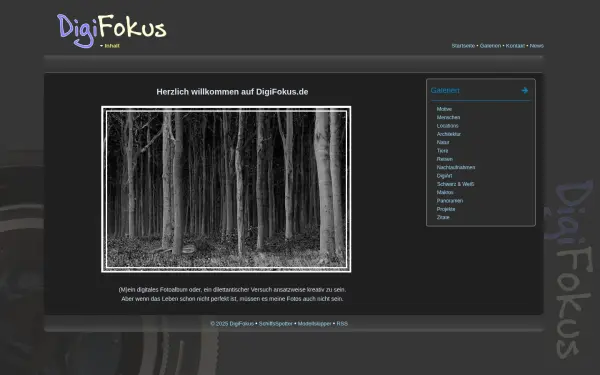digifokus.de
