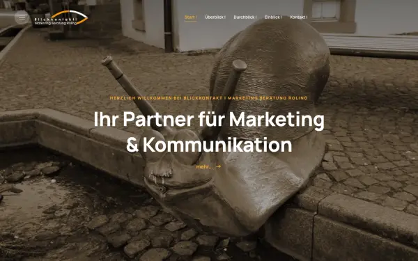 www.blickkontakt-roling.de