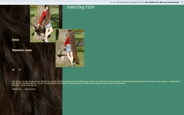 amazing-hair.de
