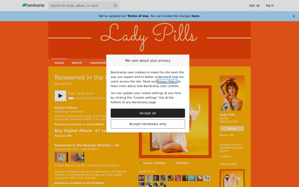 ladypillsmusic.bandcamp.com