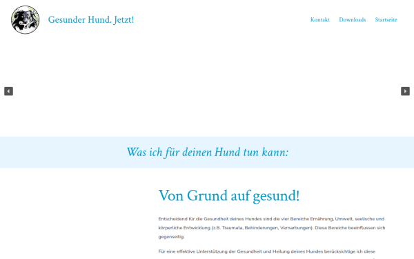 gesunder-hund.jetzt