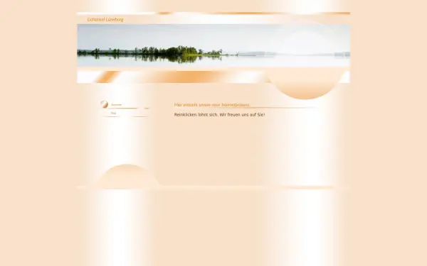 lichtinsel-lueneburg.de