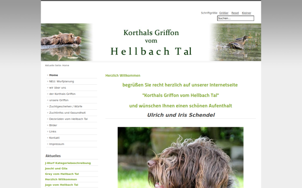 griffon-vom-hellbach-tal.de