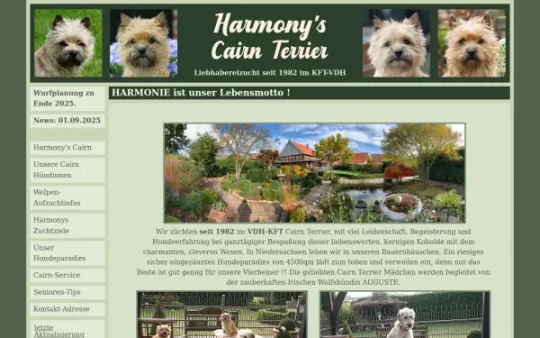 harmonys-cairn-terrier.de