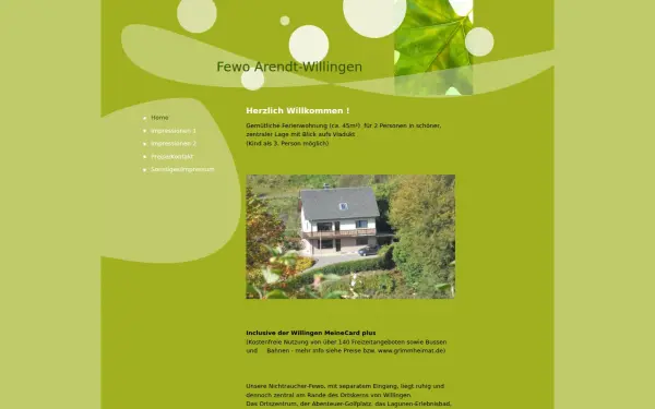 arendt-willingen.de