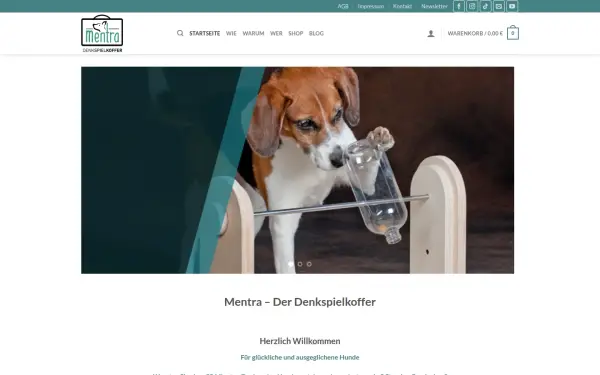 mentra.de
