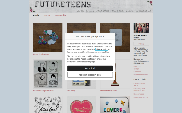 futureteens.bandcamp.com
