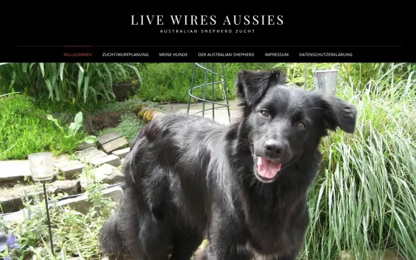 live-wires-aussies.de