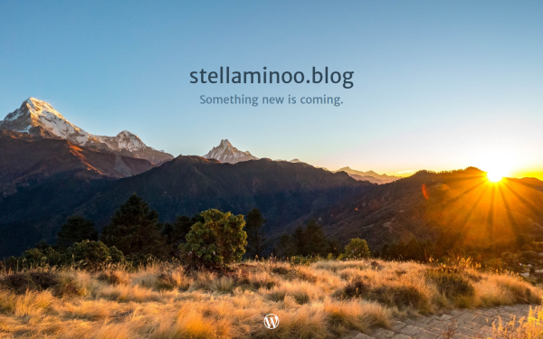 stellaminoo.blog