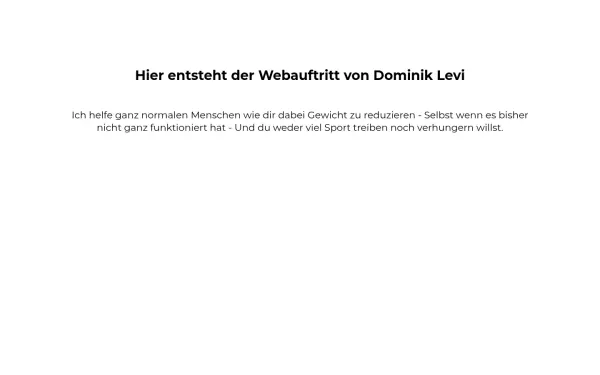 dominiklevi.com