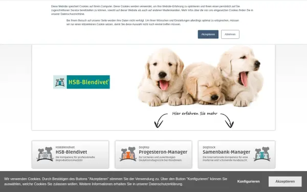 hsb-blendivet.de