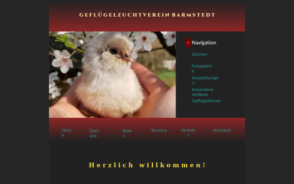 gzv-barmstedt.de
