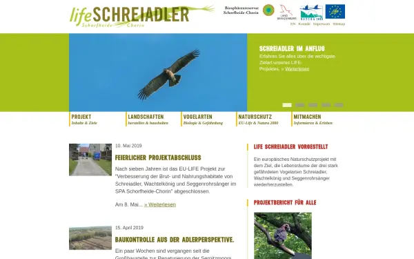 lifeschreiadler.de