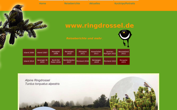 ringdrossel.de
