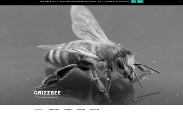 wp.grizzbee.de