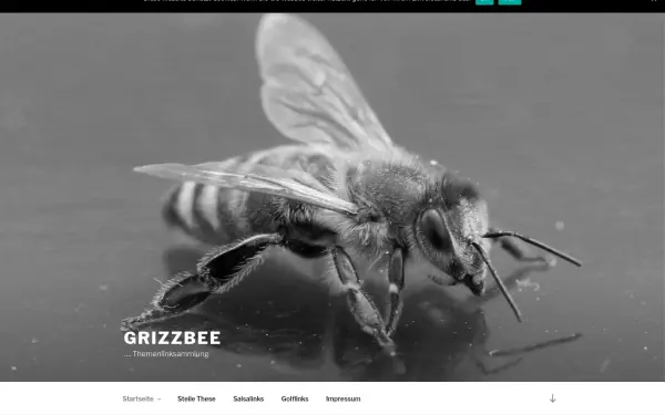 wp.grizzbee.de