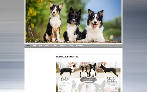 www.agility-cap.de