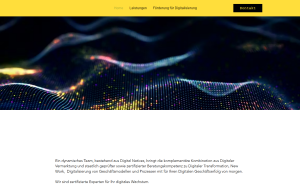 www.excellence-digital.de