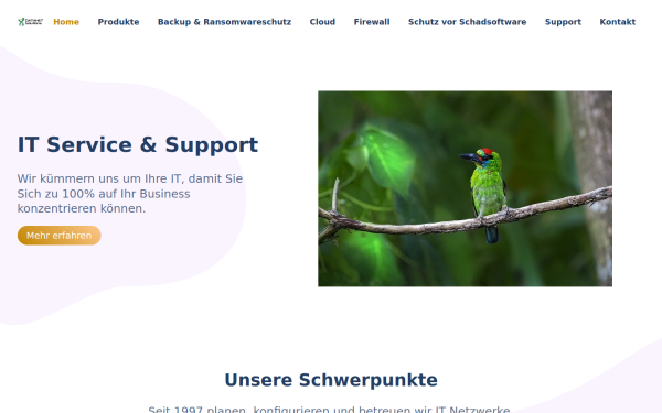 dnsolutions.at