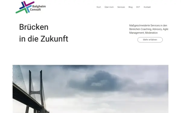 www.balgheimconsult.com