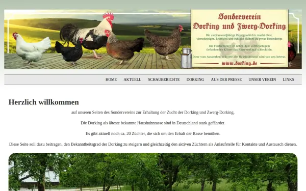 dorking.de