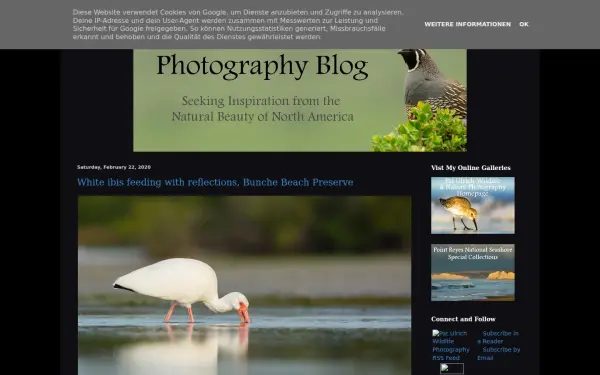 blog.patulrichphotography.com