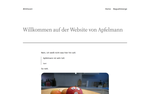 birkhoven-web.de