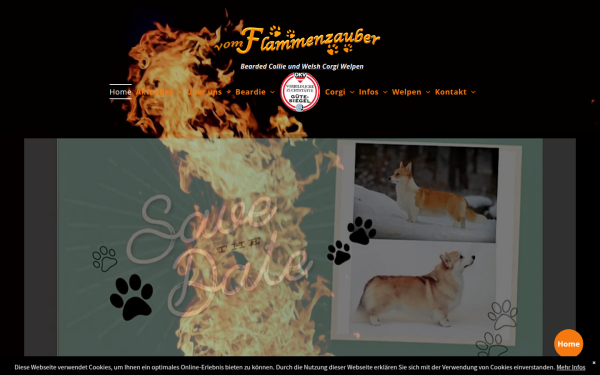 www.flammenzauber.eu