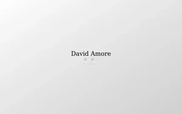 david-amore.de
