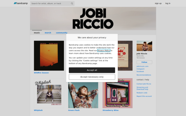 jobimusic.bandcamp.com